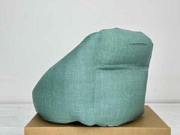 Ficus Decora Cabernet - Image 4