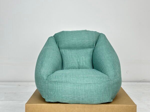 Ficus Decora Cabernet - Image 3